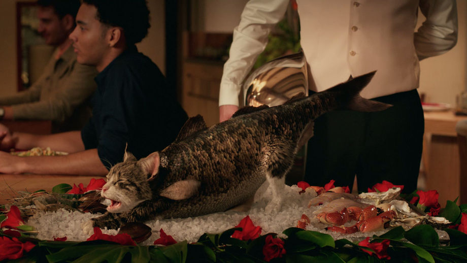 Hotels.com Catfish